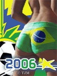 pic for brazil  